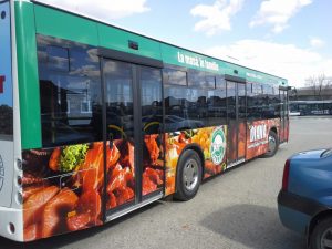colantare autobuz