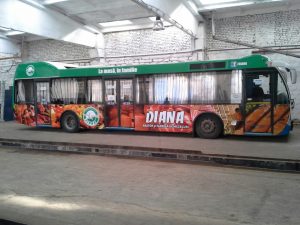 colantare autobuz