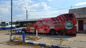 colantare autobuz